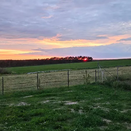 Relax Nameliai Zibininkai